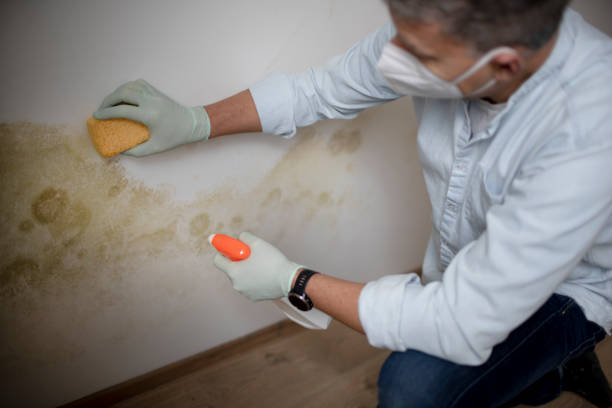 Best Asbestos and Lead Testing During Mold Inspection  in Colquitt, GA